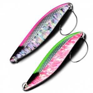 D-OCEAN HERRING SHELL