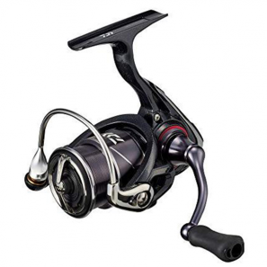 DAIWA 20 GEKKABIJIN X