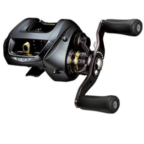 DAIWA STEEZ