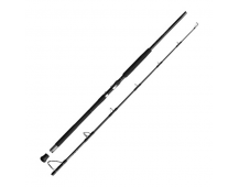 Спиннинг Shimano 26 Ocea Plugger BG Bluefin Tuna S78XXH